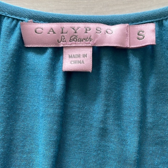 Calypso St. Barth Blue Silk & Model Dress - Picture 10 of 11